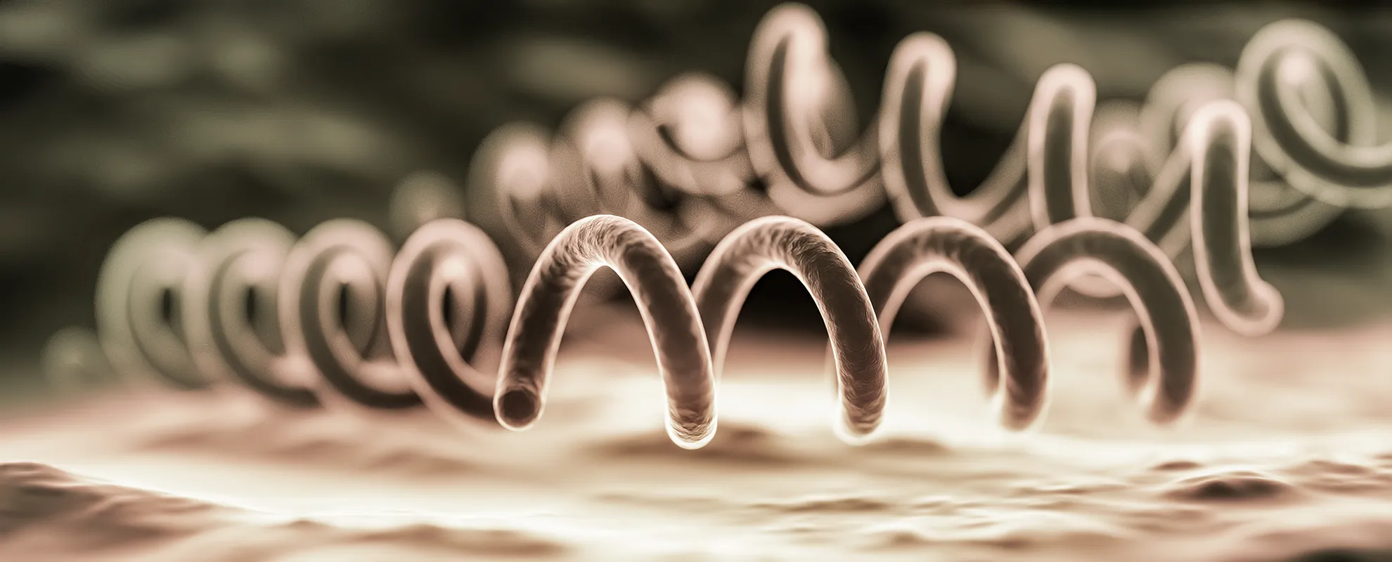 Syphilis Symptoms